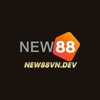Avatar of NEW88