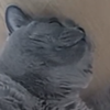 Avatar of randomc