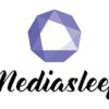 Avatar of Mediasleep Seo