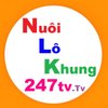 Avatar of Nuôi lô khung 247 Tv