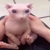 Avatar of fishlov187