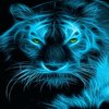 Avatar of baronmunh76