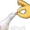 Avatar of KermitBoii