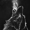 Avatar of AlphaWolf1584