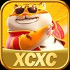 Avatar of xcxcnetbr