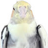 Avatar of AwsomnessYT