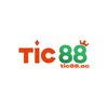 Avatar of Tic88