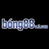 Avatar of Link vào Bong88