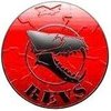 Avatar of Revs
