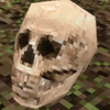 Avatar of bones