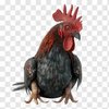 Avatar of jonjy_burni