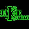 Avatar of Jake.Bullit