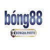 Avatar of Bong88