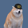 Avatar of Chonker Buoy
