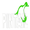 Avatar of PINTAIL D&C Inc.