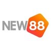 Avatar of new88teamcom