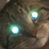 Avatar of gandalfpotter13