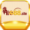 Avatar of alo88site