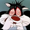 Avatar of showdi