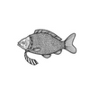 Avatar of sketch_fish