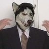 Avatar of dawger