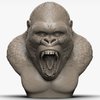 Avatar of cuyler.smith