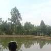 Avatar of M.Junaedi.Ahmad