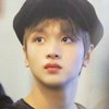 Avatar of nini99