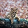 Avatar of Milan_Werner