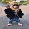 Avatar of Andybigwar