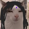 Avatar of Madma