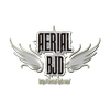 Avatar of AERIALBJD