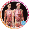 Avatar of anatomydecoded