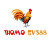 Avatar of thomosv388