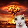 Avatar of Katishereeee
