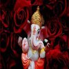 Avatar of camsrt
