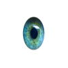 Avatar of Microwaven