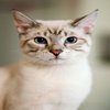 Avatar of MMixyD