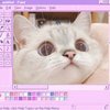 Avatar of mushii