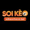 Avatar of soikeonhacaibet1
