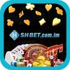 Avatar of shbet comim