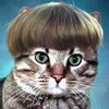Avatar of JabRomich