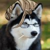 Avatar of otakunamix15