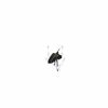 Avatar of minhtan__