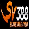 Avatar of SV388