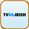 Avatar of tv88irish