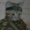 Avatar of hAck3r