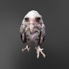 Avatar of COBYIIIKA