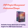 Avatar of pmp project