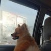 Avatar of Minixz